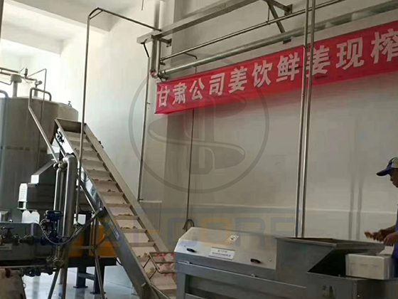 商用工業級大型螺旋生姜榨汁機